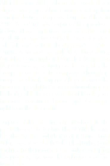 After leaving ACE, where she worked for almost five years, Alice Ormières set up her own production company, Surprise Alley, in 2013. Based in Paris, Surprise Alley produces feature films, exploring new narrative and aesthetic perspectives with directors of various cultural and artistic backgrounds. Alice Ormières teamed up with Titus Kreyenberg (unafilm, Germany) and Miroslav Mogorovic (Art & Popcorn, Serbia) in order to widen the European scope of the company. Through its European identity Surprise Alley enhances the financing possibilities of international projects by being able to access at least two key co-financing countries, France and Germany, right from the beginning. Surprise Alley is currently involved in the production of the feature film «Until I lose my breath» by the Turkish director Emine Emel Balci, coproduced with Bulut Film (Turkey) and unafilm. Furthermore it is currently developing two projects, one from the Phillipines and one from France.